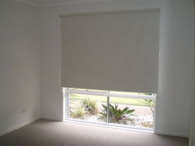 Buderim