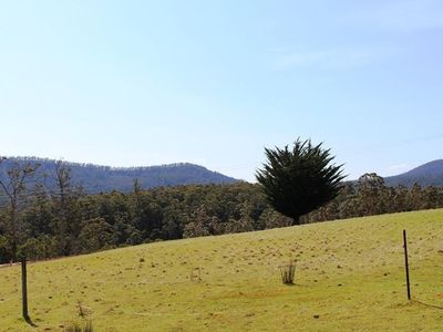 Lot 1, 100 Crosswells Road, Pelverata