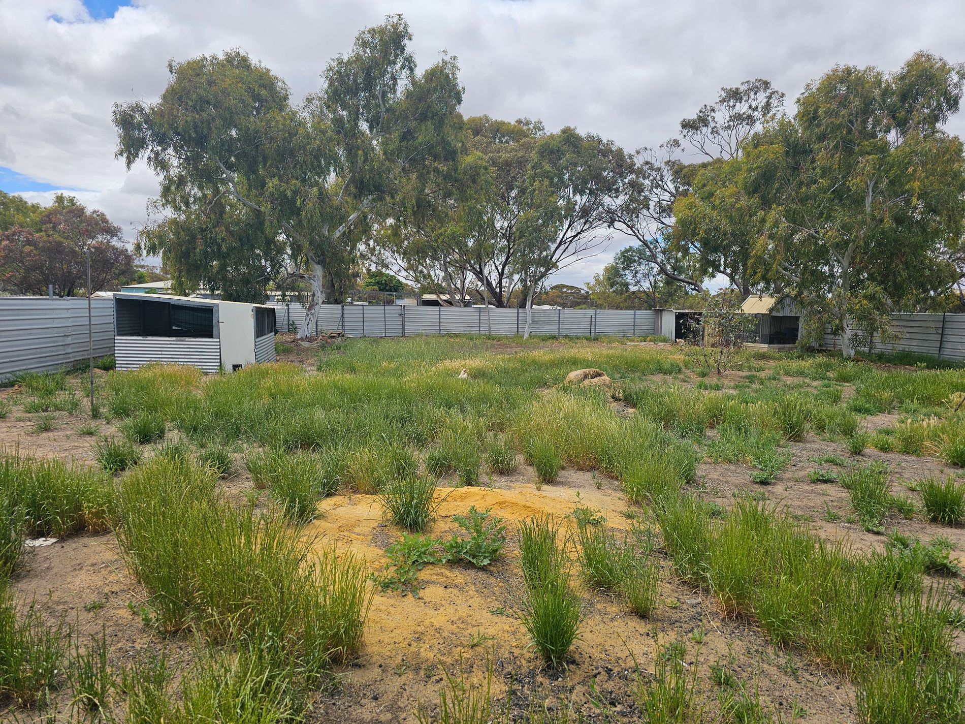 10 Bath Street, Kellerberrin