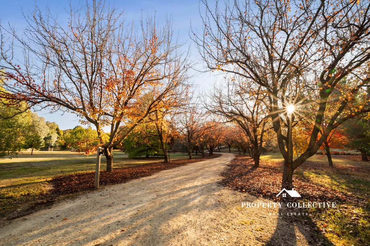 124 Stanley Road, Beechworth