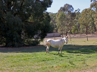 167 Nankervis Road, Mandurang