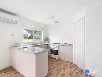 3 Norma Street, Golden Square