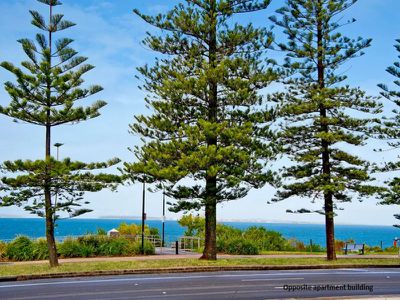 5 / 106 The Grand Parade, Brighton Le Sands