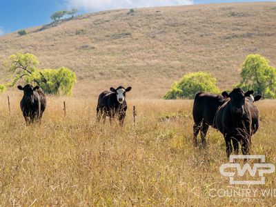 Lot 1, Doolan Road, Glen Innes