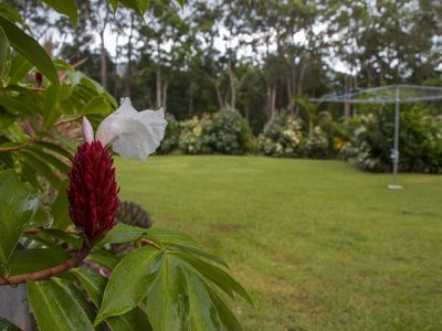 591 Bloomfield Road, Rossville