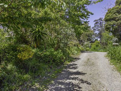 242 Woolleys Road, Lonnavale