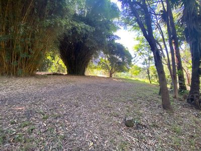 391 Stony Chute Road, Nimbin