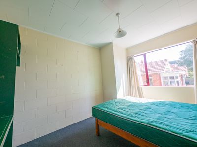 543 George Street, North Dunedin