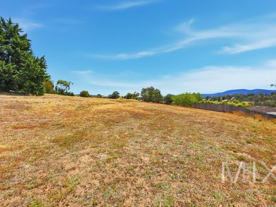 20 Jordan Downs Drive, Brighton