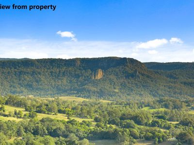 1242 Tuntable Creek Road, Nimbin
