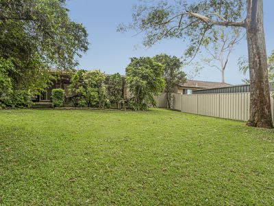 24 Coolabah Road, Medowie
