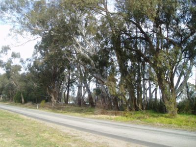 293 ISLAND ROAD, Cohuna