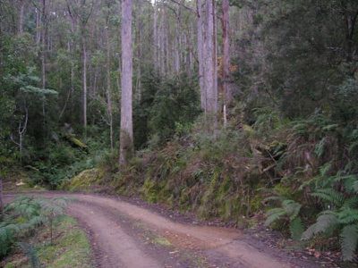 Reeves Road, Pelverata