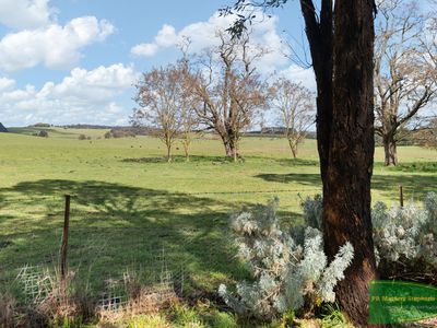 1445 HOBBYS YARDS RD HOBBYS YARDS, Bathurst