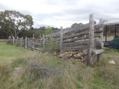 Emmaville Road, Inverell