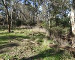 15 Moran Court, Graytown