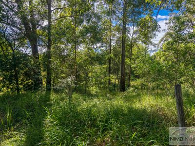 Lot 12, 65 Old Tweed Road, Wadeville