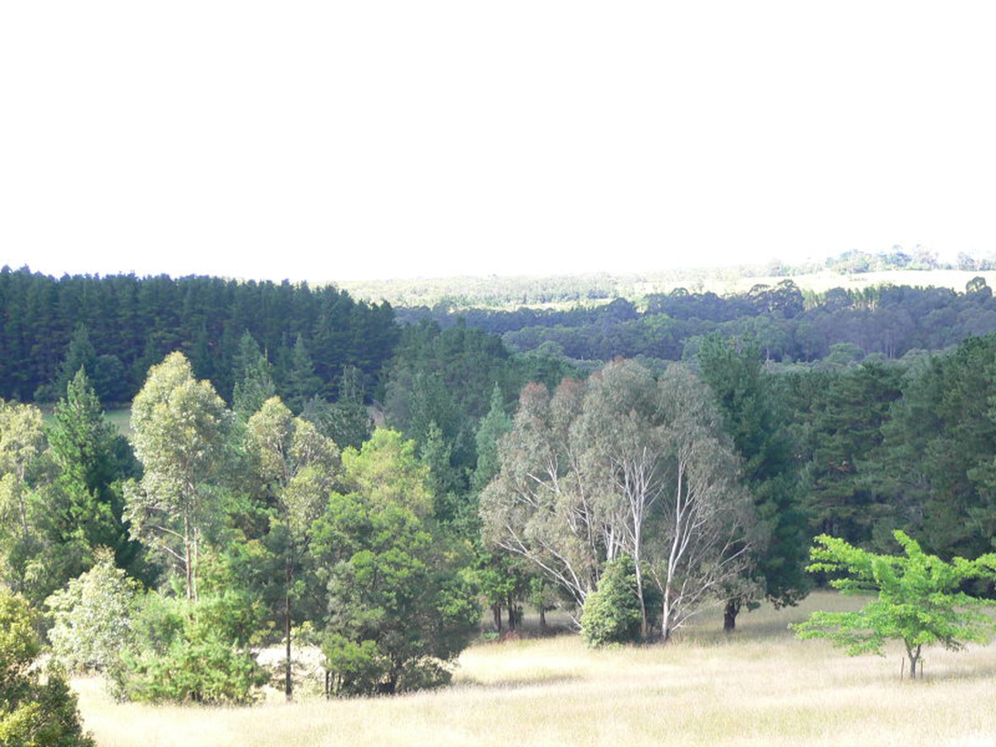 68 Powels Road, BILPIN