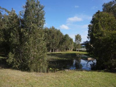 5 Coolabah Close, Tea Gardens