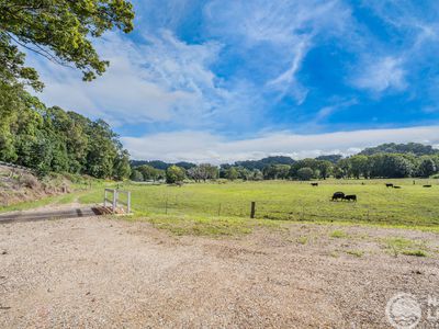 5644 Tweed Valley Way, Crabbes Creek