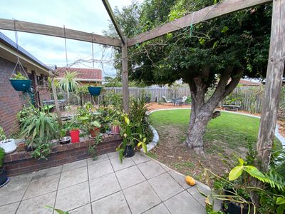 24 South Street, Urangan