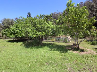 Lot 5, 115 Gonpa Road, Kyogle