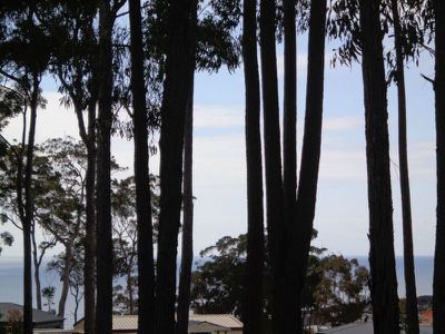 462 Sapphire Coast Drive, Tura Beach