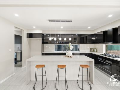 6 Driftwood Street, Box Hill