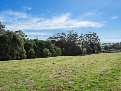20 Nitida Drive, Scotchtown