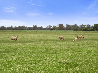 449 Caseys Road, Berrigan