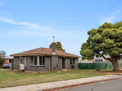 31 Dalkeith Street, Waverley