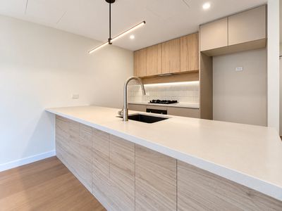411 / 219-231 Botany Road, Waterloo