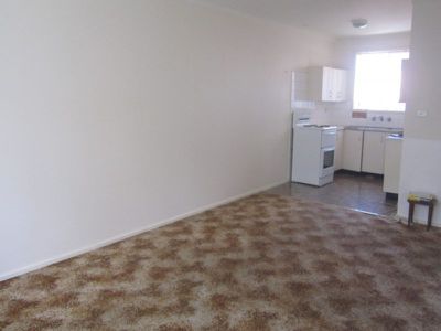 1 / 19 Sassafras Avenue, Windang