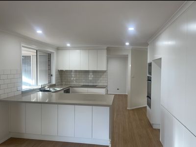 11 Forest Oak Place, Albion Park Rail NSW 2527, Albion Park Rail