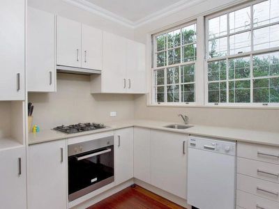 8 / 50B Ocean Street, Woollahra
