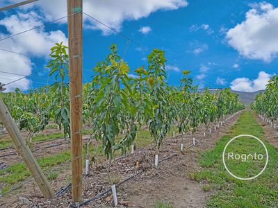 387 Fassio Road, Mareeba