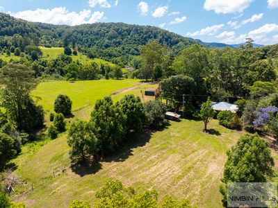 447 Terania Creek Road, Terania Creek