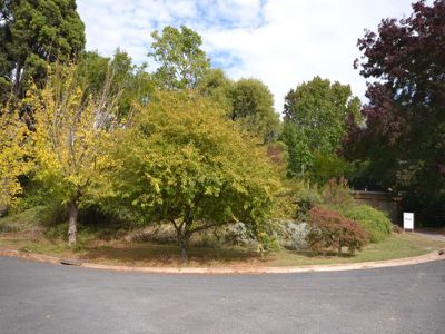 7 Cooper Street , Tawonga