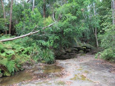 166a Bendeela Rd, Kangaroo Valley