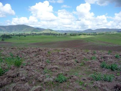 Conondale
