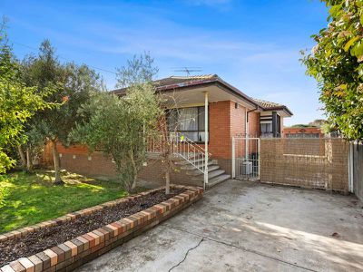 20 Dunloe Avenue, Norlane