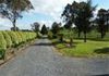 411 Clergate Road, Orange