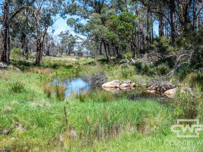 Lot 11, Ten Mile Rd, Deepwater