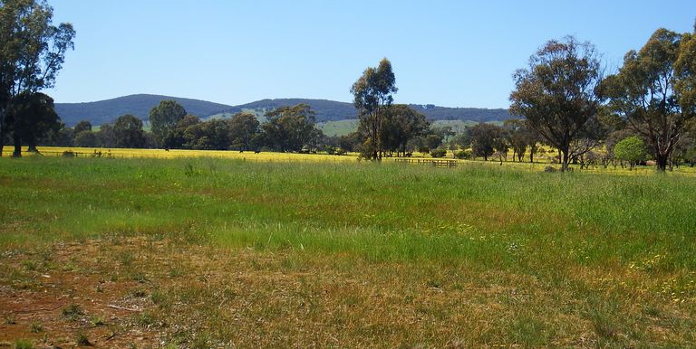 Lot 11B, Dunnings Road Balmattum, Euroa