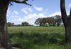 4 Spring Terrace Road, Orange