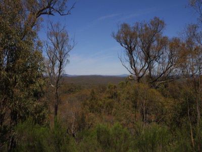 Lot 1 Bush Sanctuary Road, Chewton
