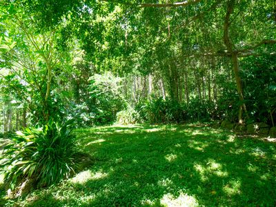 771 Left Bank Road, Mullumbimby Creek