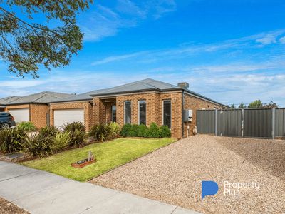 81 Greenfield Drive, Epsom
