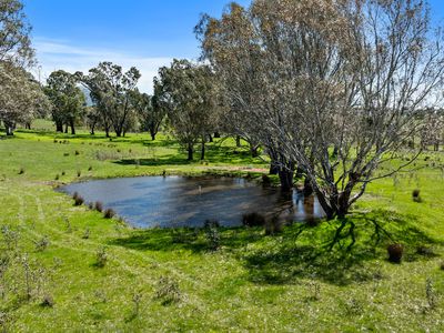 801 Midland Link Highway, Maindample