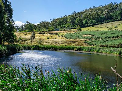 442 Cygnet Coast Road, Petcheys Bay